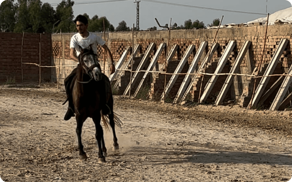 Abdullah horse riding